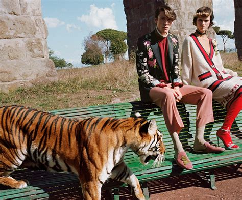 gucci 2017 spring campaign|john hunt gucci promotions.